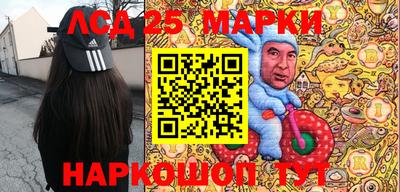 mdpv Новодвинск